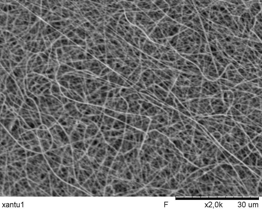 Xantu.Layr under the microscope
